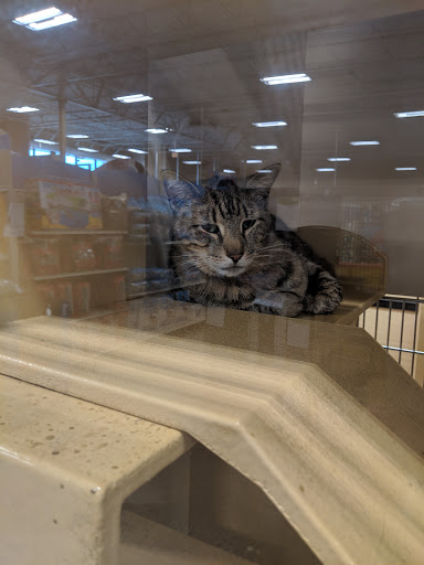 Pet Supply Store «PetSmart», reviews and photos, 14420 Farm to Market 2920, Tomball, TX 77377, USA