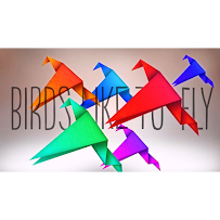 Tutorworks - Photo 3 - Car repair in St. Petersburg, FL, St. Petersburg