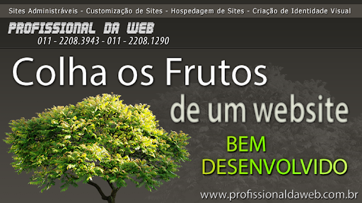 Logo da empresa - Profissional da Web
