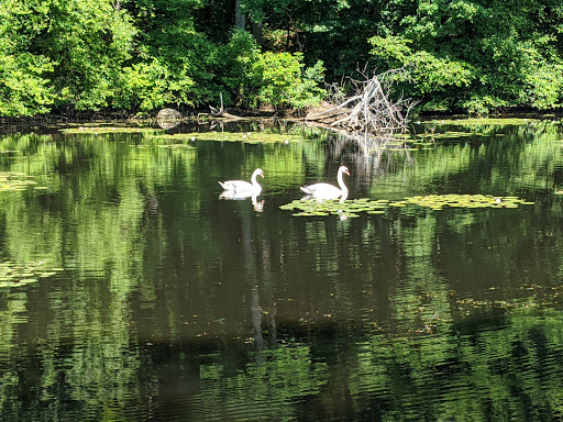 Park «Winnekenni Park», reviews and photos, 347 Kenoza Ave, Haverhill, MA 01830, USA