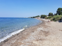 Foto di Paradiso Beach con molto pulita livello di pulizia