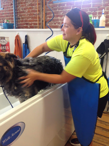 Pet Groomer «That Dog Wash», reviews and photos, 1401 Jackson St, Omaha, NE 68102, USA
