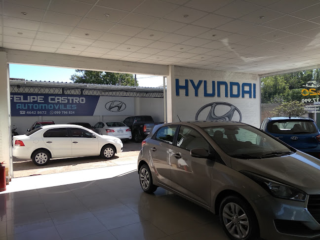 Bvar. Francisco Mata 1061, 37000 Melo, Departamento de Cerro Largo