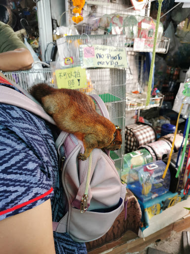 JJ Pet Market