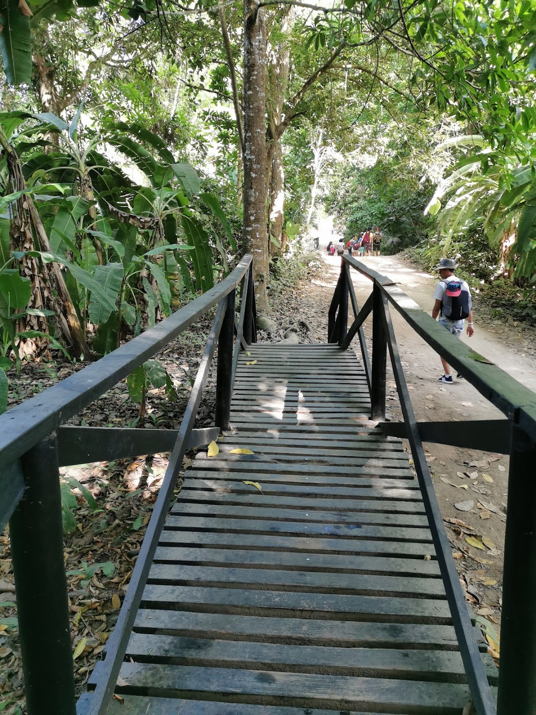 Zona Camping Parque El Tayrona