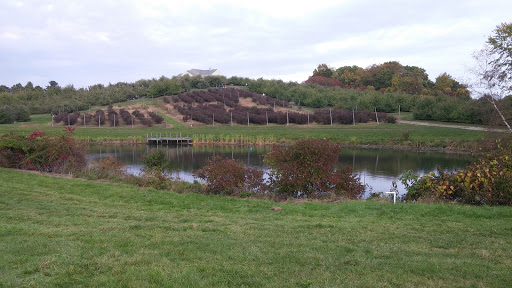 Orchard «George Hill Orchards», reviews and photos, 582 George Hill Rd, South Lancaster, MA 01561, USA