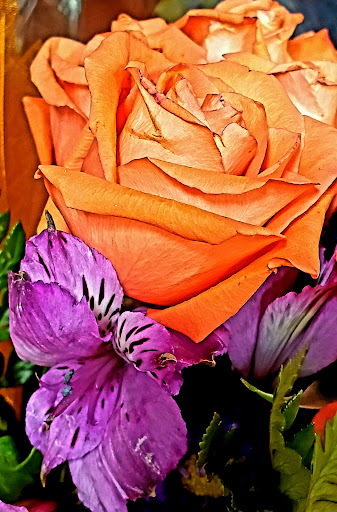 Supermarket «King Kullen», reviews and photos, 127 Sunrise Hwy, Rockville Centre, NY 11570, USA