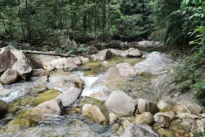 Hutan Lipur Chemerong (Tropical Forest) image