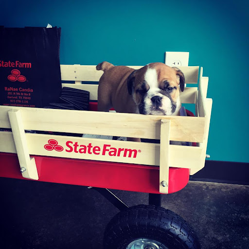 Auto Insurance Agency «State Farm: RaNae Candia», reviews and photos