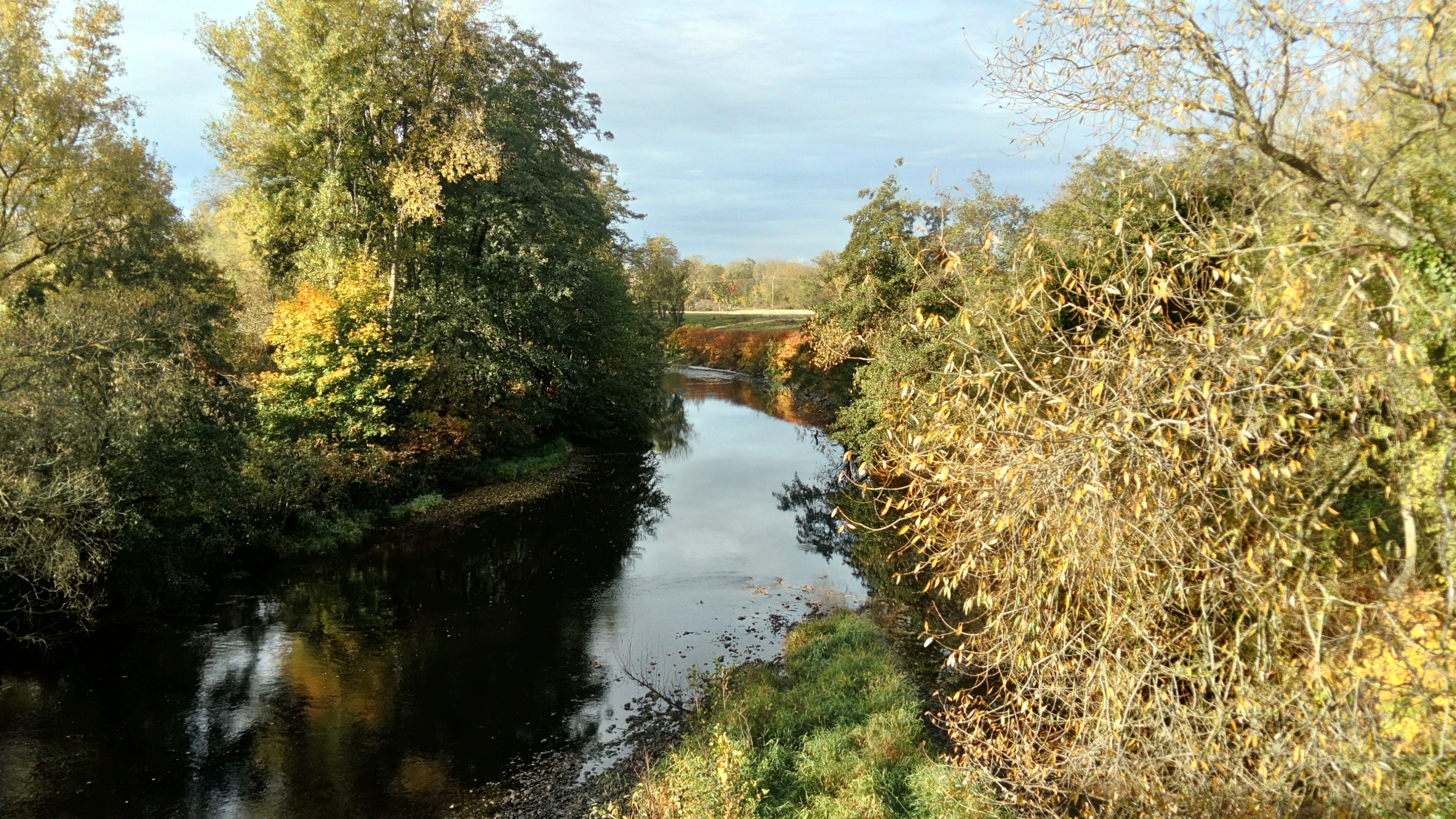 Photo n° 1 de l'avis de Jeanyann.a fait le 31/10/2021 à 10:12