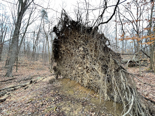 Park «Fairfax Villa Park», reviews and photos, 11399 Park Dr, Fairfax, VA 22030, USA