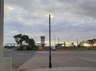 Puma Port Augusta