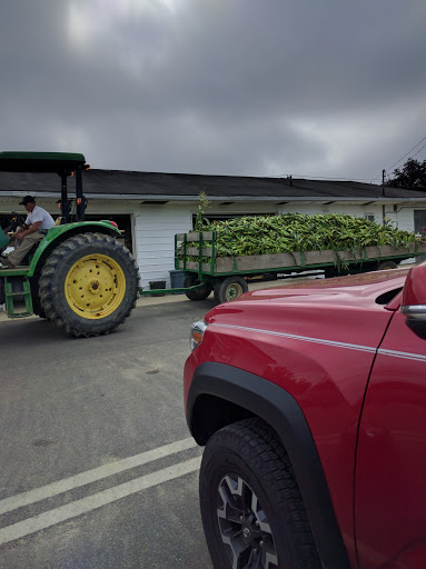 Produce Market «Stella Farms», reviews and photos, 459 Berlin New Freedom Rd, Berlin, NJ 08009, USA