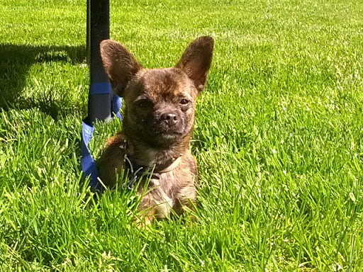 Conference Center «Des Moines Beach Park Auditorium», reviews and photos, 22030 Cliff Ave S, Des Moines, WA 98198, USA