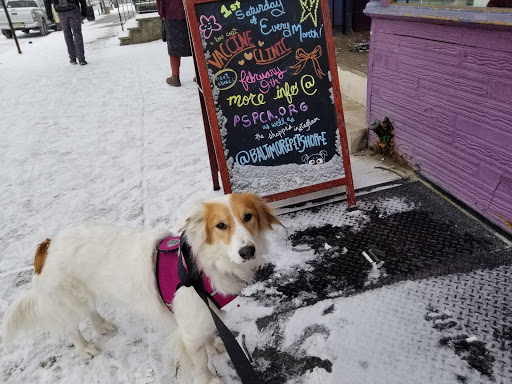 Pet Supply Store «Baltimore Pet Shoppe», reviews and photos, 4532 Baltimore Ave, Philadelphia, PA 19143, USA