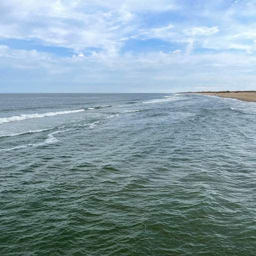 Surf Shop «Surf & Adventure Co.», reviews and photos, 577 Sandbridge Rd, Virginia Beach, VA 23456, USA