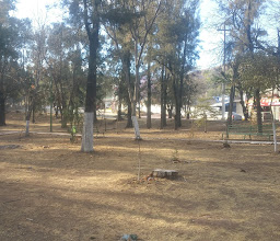 Público Park photo