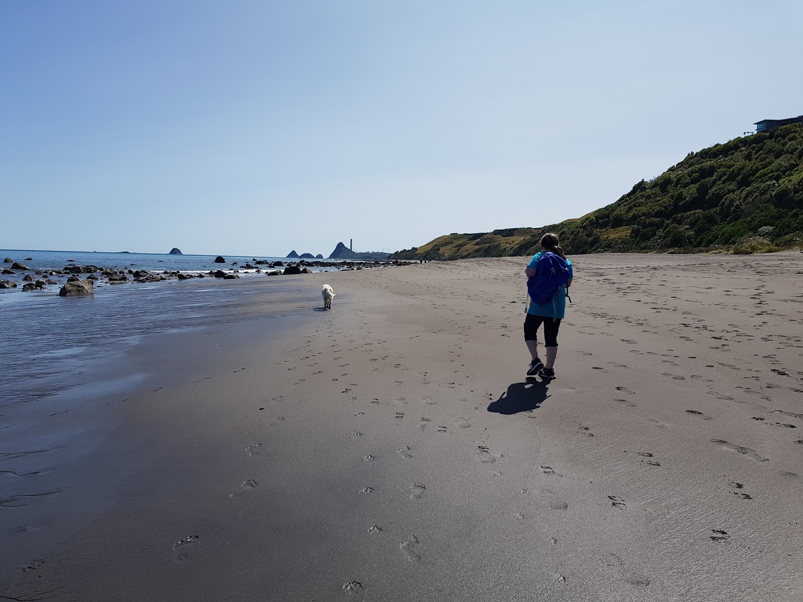 Tapuae Beach的照片 带有灰沙表面