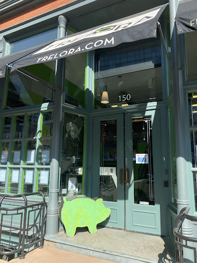 Real Estate Agency «TRELORA Real Estate Agency», reviews and photos, 2401 15th St #150, Denver, CO 80202, USA
