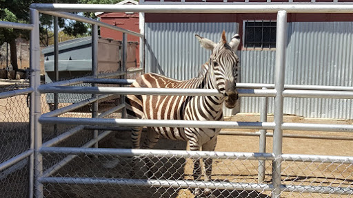 Park «Montebello Barnyard Zoo», reviews and photos, 600 Rea Dr, Montebello, CA 90640, USA