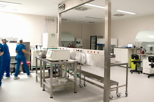 Artificial insemination clinics Cordoba