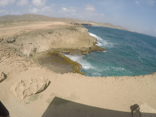 Park «Franklin Park», reviews and photos, 1 Franklin Park Rd, Boston, MA 02121, USA