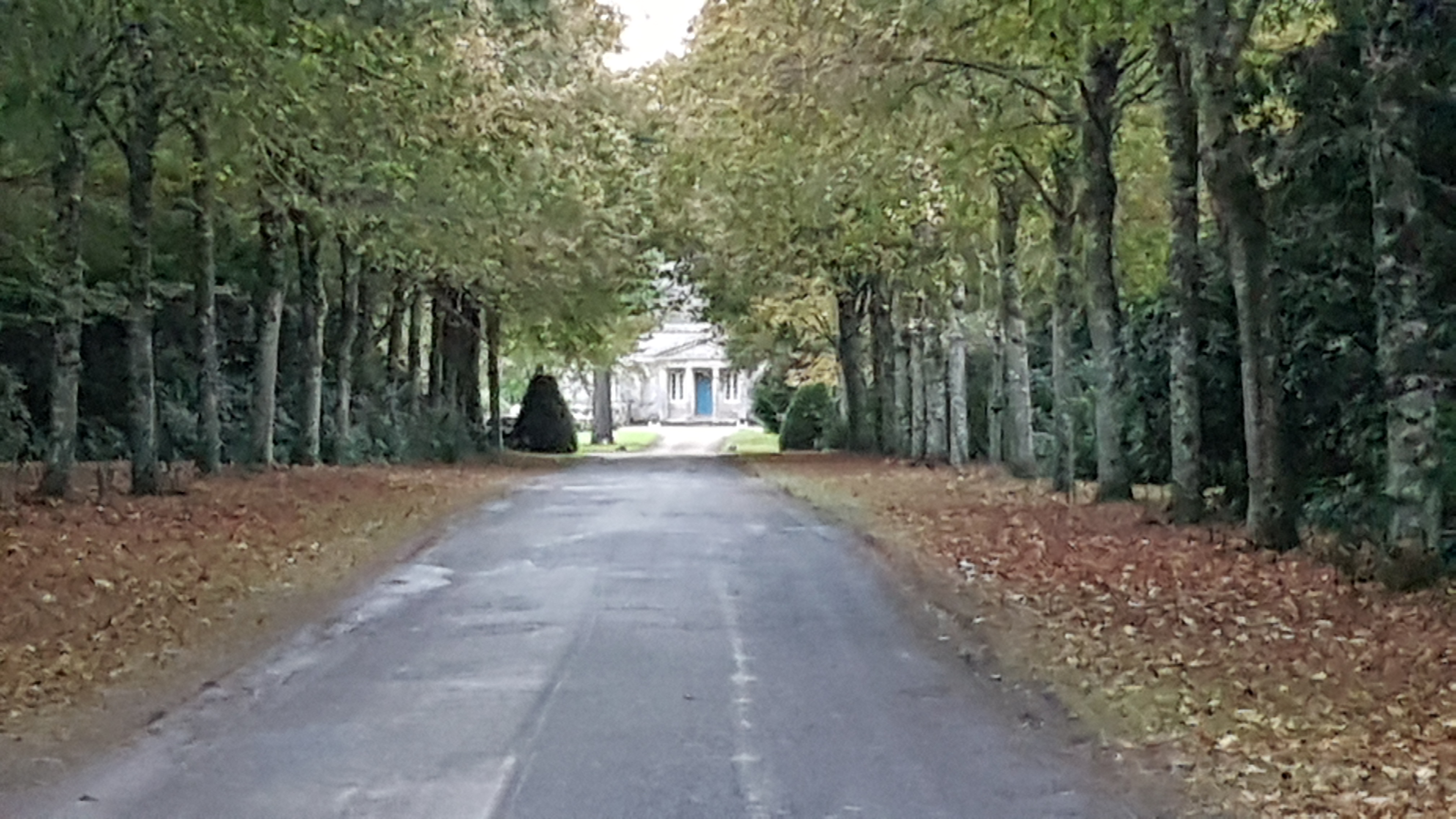 Photo n° 2 de l'avis de Martial.e fait le 04/11/2018 à 06:11