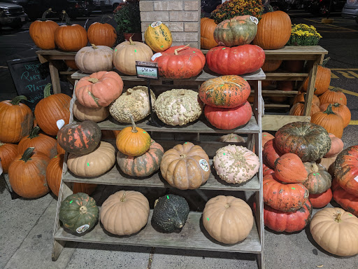 Supermarket «Big Y», reviews and photos, 1180 Thorndike St, Palmer, MA 01069, USA