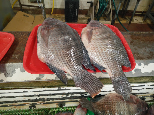 Asian Grocery Store «Kim Long Market», reviews and photos, 324 E Anaheim St, Long Beach, CA 90813, USA