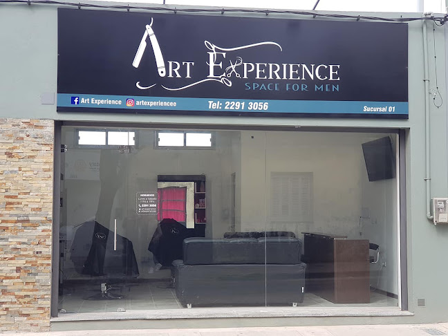 Art Experience - Canelones