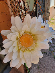 Photo n°11 de Doner Kebab Erciyes à Obernai ()