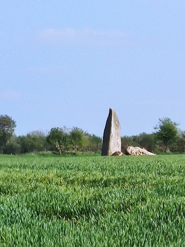 Menhir de Kervignen-Bras à Ploudalmézeau