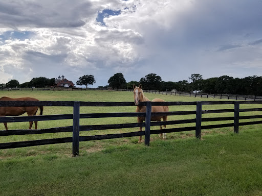 Ranch «Sharkarosa Wildlife Ranch», reviews and photos, 11670 Massey Rd, Pilot Point, TX 76258, USA