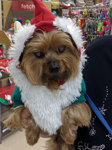 Pet Supply Store «Petco Animal Supplies», reviews and photos, 3055 Columbia Blvd #117, Titusville, FL 32780, USA