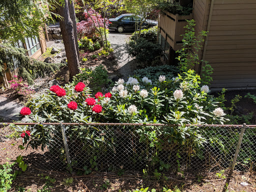 Park «Mineral Springs Park», reviews and photos, 1500 N 105th St, Seattle, WA 98133, USA