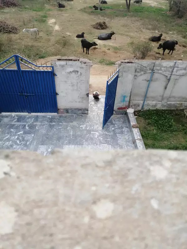 Photo n° 2 de l'avis de talib.u fait le 22/12/2020 à 18:38
