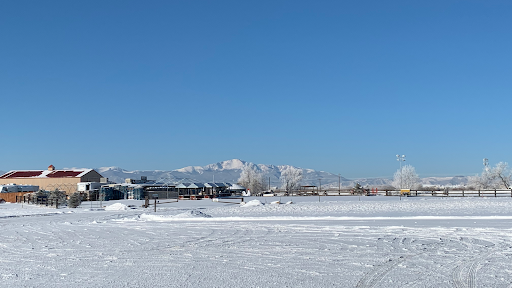 Tire Shop «Tire King of Falcon», reviews and photos, 8345 Blue Gill Dr, Peyton, CO 80831, USA