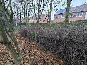 YWT Kippax Meadows Nature Reserve