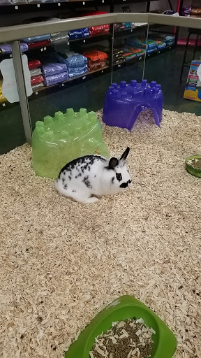 Pet Supply Store «Saluda River Pet Food Center», reviews and photos, 5606 Calhoun Memorial Hwy, Easley, SC 29640, USA