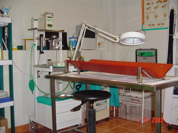CLINICA VETERINARIA LA RONDA
