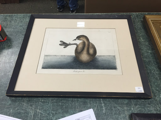 Shipping Service «Parcel Room FedEx & UPS Authorized Shipping Center», reviews and photos, 1465 Woodbury Ave, Portsmouth, NH 03801, USA