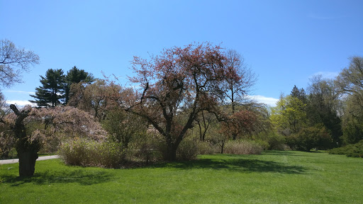 Park «Hart`s Brook Park and Preserve», reviews and photos, 156 Ridge Rd, Hartsdale, NY 10530, USA