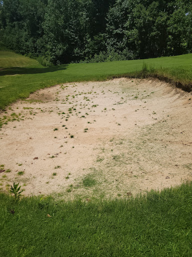 Golf Course «Coweta Club», reviews and photos, 300 Arbor Springs Pkwy, Newnan, GA 30265, USA