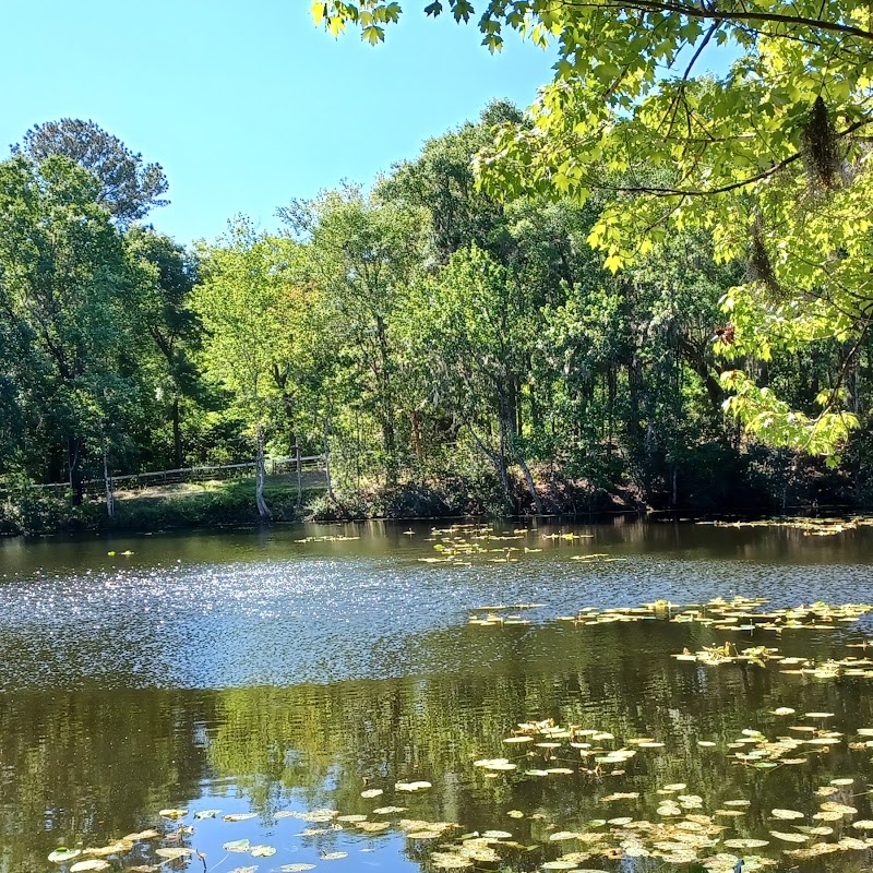 Jacksonville Arboretum Parking