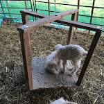 Photo n° 3 de l'avis de Mladen.a fait le 29/03/2019 à 17:37 pour Ferme de l'Aritoire à La Madeleine-Bouvet