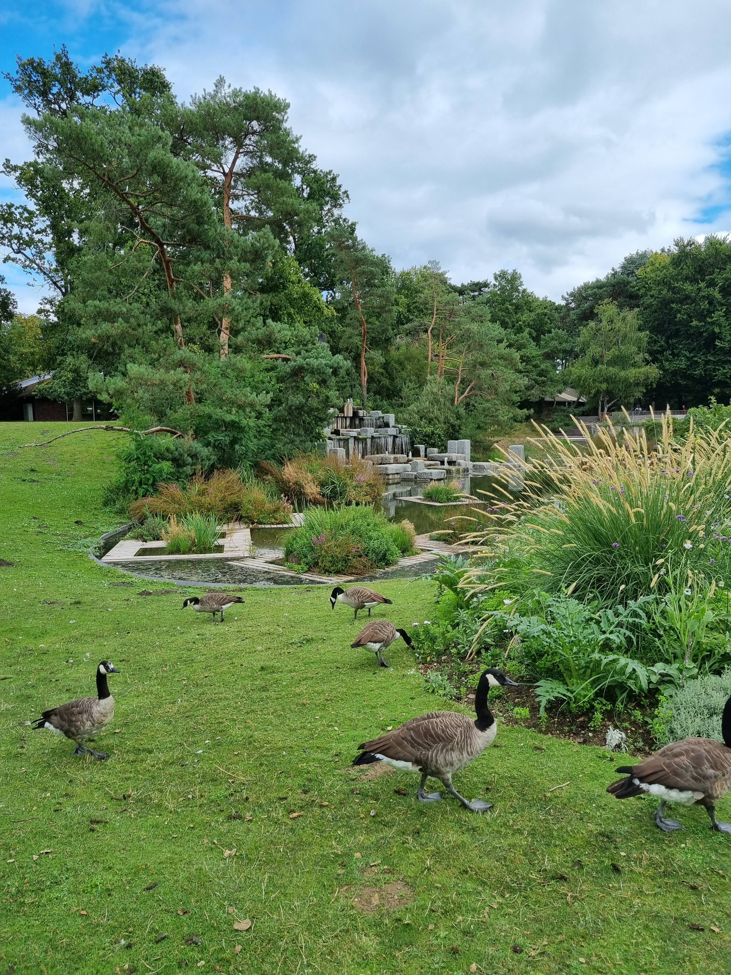 Photo n° 6 de l'avis de Nafisa.o fait le 17/11/2019 à 11:39