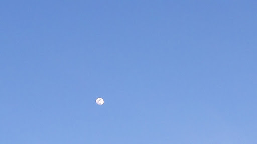 Movie Theater «Emagine Saline», reviews and photos, 1335 E Michigan Ave, Saline, MI 48176, USA