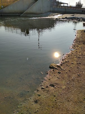 Centennial Park - photo 43