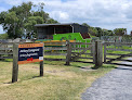 Best All Year Round Campsites Auckland Near You