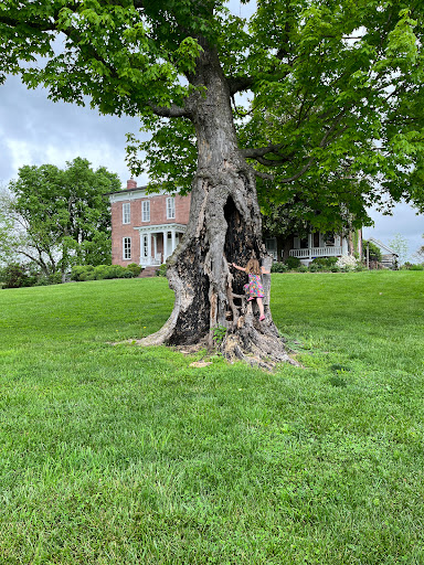 Winery «Rocklands Farm», reviews and photos, 14525 Montevideo Rd, Poolesville, MD 20837, USA